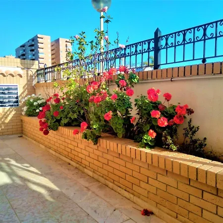Acv - Valparaiso - 2ª Linea, Planta 8, Norte * Oropesa del Mar